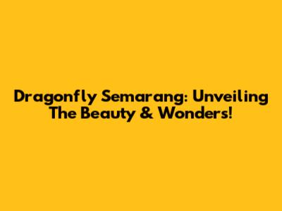 Dragonfly Semarang: Unveiling The Beauty & Wonders!