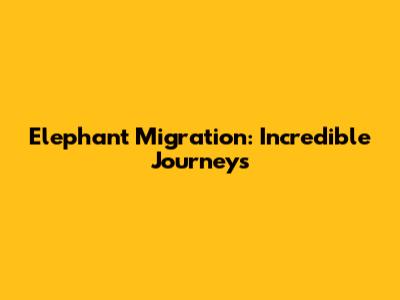 Elephant Migration: Incredible Journeys