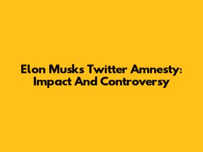 Elon Musk's Twitter Amnesty: Impact And Controversy