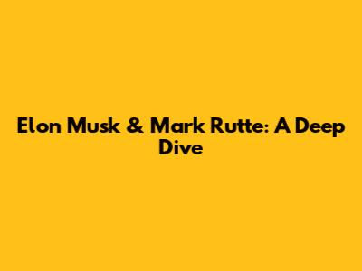 Elon Musk & Mark Rutte: A Deep Dive