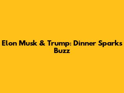Elon Musk & Trump: Dinner Sparks Buzz