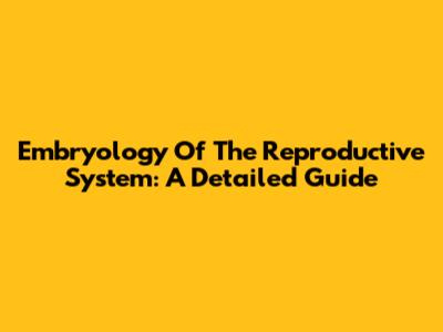 Embryology Of The Reproductive System: A Detailed Guide
