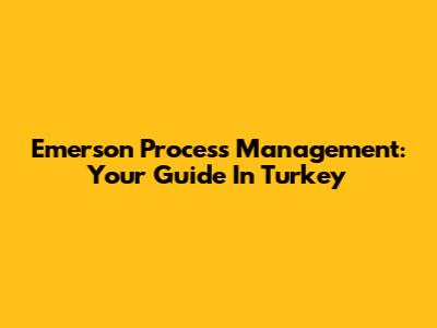 Emerson Process Management: Your Guide In Turkey