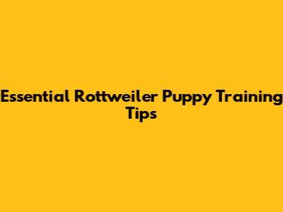 Essential Rottweiler Puppy Training Tips