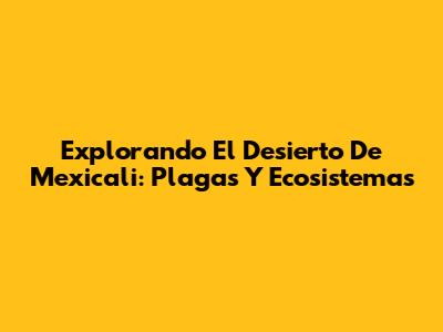Explorando El Desierto De Mexicali: Plagas Y Ecosistemas