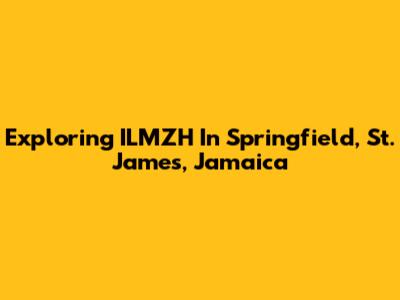 Exploring ILMZH In Springfield, St. James, Jamaica