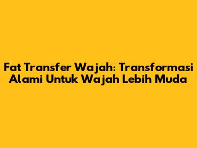 Fat Transfer Wajah: Transformasi Alami Untuk Wajah Lebih Muda