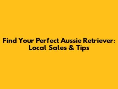 Find Your Perfect Aussie Retriever: Local Sales & Tips