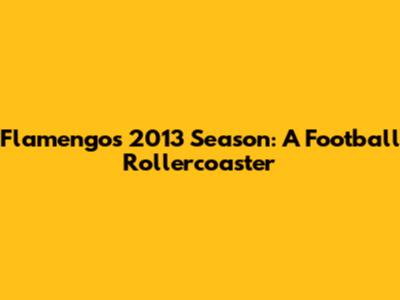 Flamengo's 2013 Season: A Football Rollercoaster