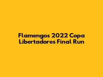 Flamengo's 2022 Copa Libertadores Final Run