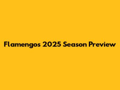 Flamengo's 2025 Season Preview
