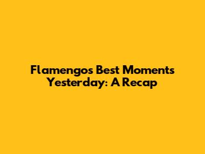 Flamengo's Best Moments Yesterday: A Recap
