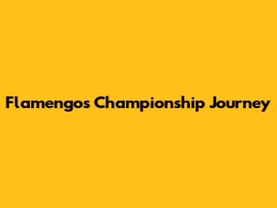 Flamengo's Championship Journey