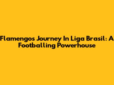 Flamengo's Journey In Liga Brasil: A Footballing Powerhouse