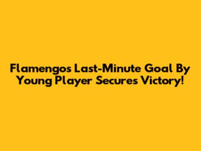 Flamengo's Last-Minute Goal By Young Player Secures Victory!