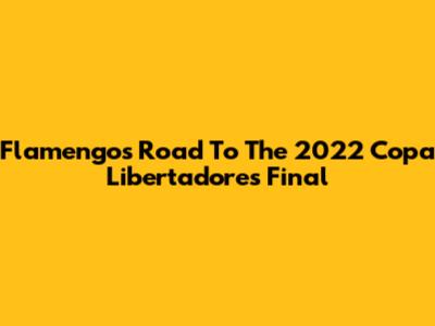 Flamengo's Road To The 2022 Copa Libertadores Final