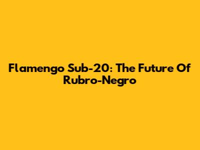 Flamengo Sub-20: The Future Of Rubro-Negro
