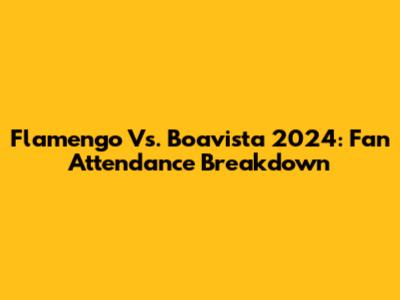 Flamengo Vs. Boavista 2024: Fan Attendance Breakdown
