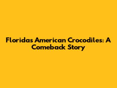Florida's American Crocodiles: A Comeback Story