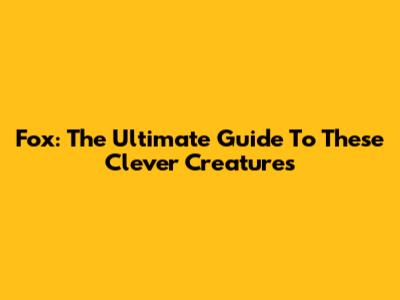 Fox: The Ultimate Guide To These Clever Creatures