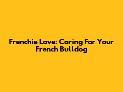 Frenchie Love: Caring For Your French Bulldog