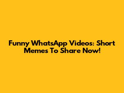 Funny WhatsApp Videos: Short Memes To Share Now!
