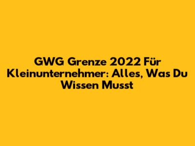 GWG Grenze 2022 Für Kleinunternehmer: Alles, Was Du Wissen Musst