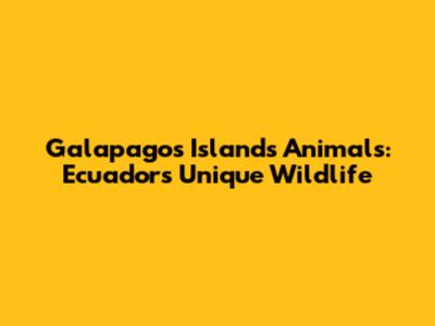 Galapagos Islands Animals: Ecuador's Unique Wildlife