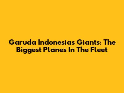 Garuda Indonesia's Giants: The Biggest Planes In The Fleet