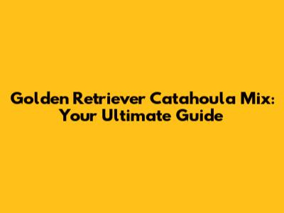 Golden Retriever Catahoula Mix: Your Ultimate Guide