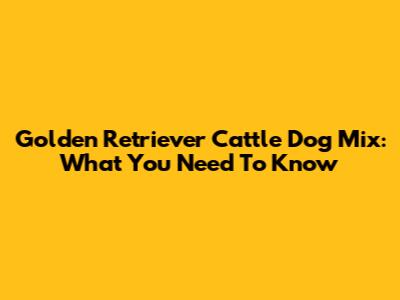 Golden Retriever Cattle Dog Mix: What You Need To Know