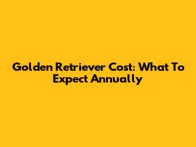 Golden Retriever Cost: What To Expect Annually