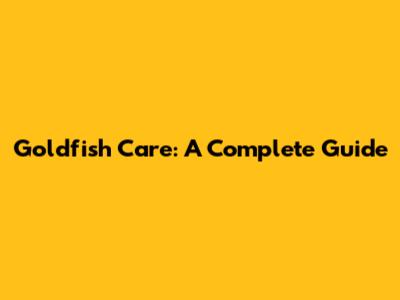 Goldfish Care: A Complete Guide