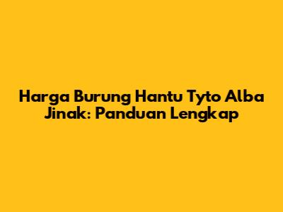 Harga Burung Hantu Tyto Alba Jinak: Panduan Lengkap