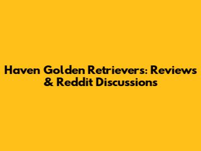 Haven Golden Retrievers: Reviews & Reddit Discussions