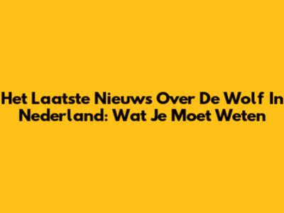 Het Laatste Nieuws Over De Wolf In Nederland: Wat Je Moet Weten