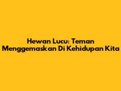 Hewan Lucu: Teman Menggemaskan Di Kehidupan Kita