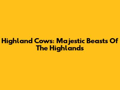 Highland Cows: Majestic Beasts Of The Highlands