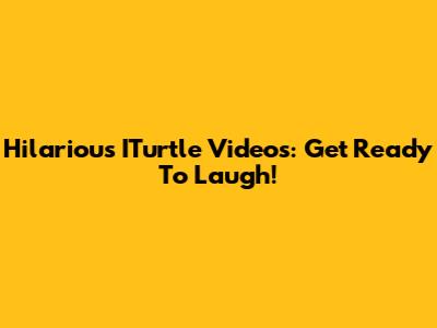 Hilarious ITurtle Videos: Get Ready To Laugh!