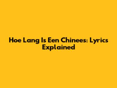 Hoe Lang Is Een Chinees: Lyrics Explained