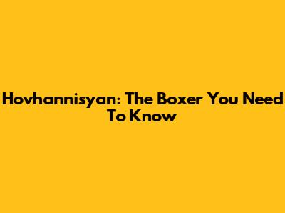 Hovhannisyan: The Boxer You Need To Know