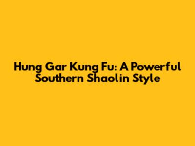 Hung Gar Kung Fu: A Powerful Southern Shaolin Style