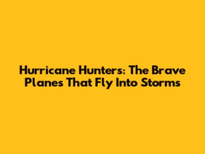 Hurricane Hunters: The Brave Planes That Fly Into Storms