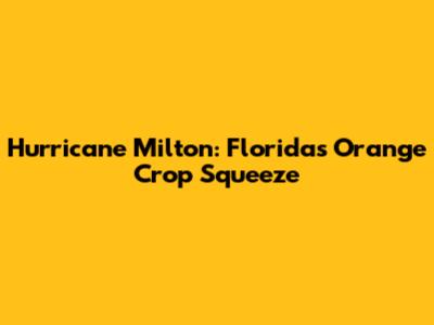 Hurricane Milton: Florida's Orange Crop Squeeze
