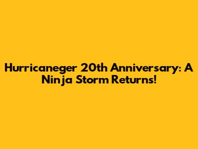 Hurricaneger 20th Anniversary: A Ninja Storm Returns!