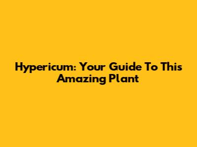 Hypericum: Your Guide To This Amazing Plant