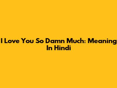 I Love You So Damn Much: Meaning In Hindi