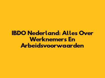 IBDO Nederland: Alles Over Werknemers En Arbeidsvoorwaarden