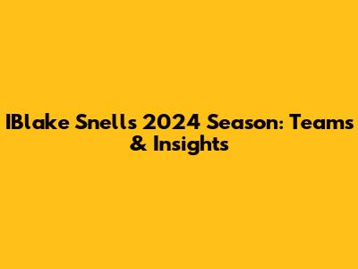 IBlake Snell's 2024 Season: Teams & Insights