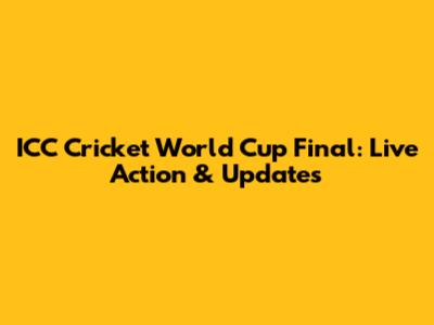 ICC Cricket World Cup Final: Live Action & Updates